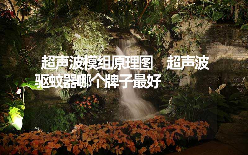 超声波模组原理图 超声波驱蚊器哪个牌子最好